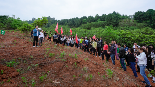 省红宝石hbs集团开展龙泉山都会森林公园 “包山头”植树运动